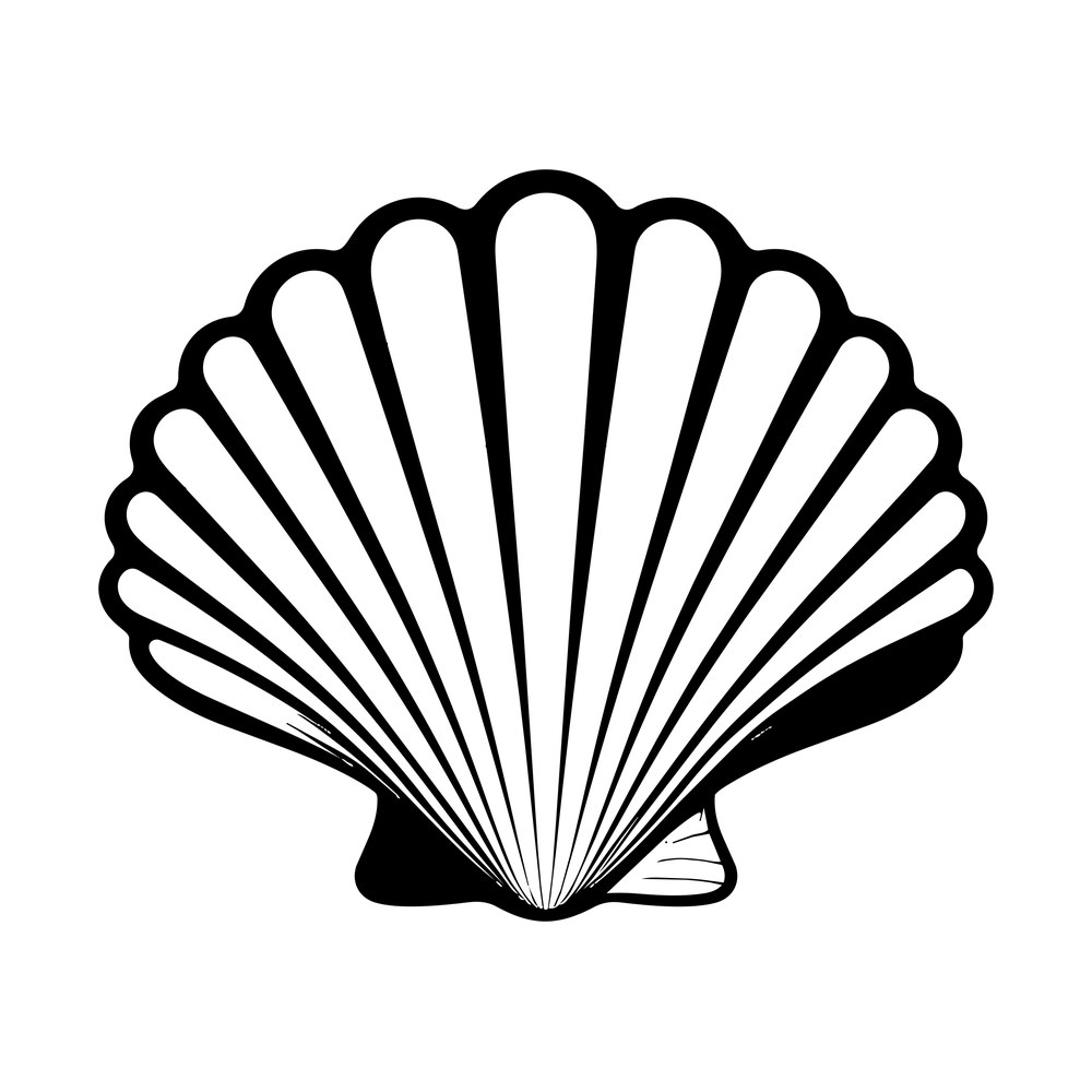 Minimal black and white scallop seashell seen from the front with fanned ribs