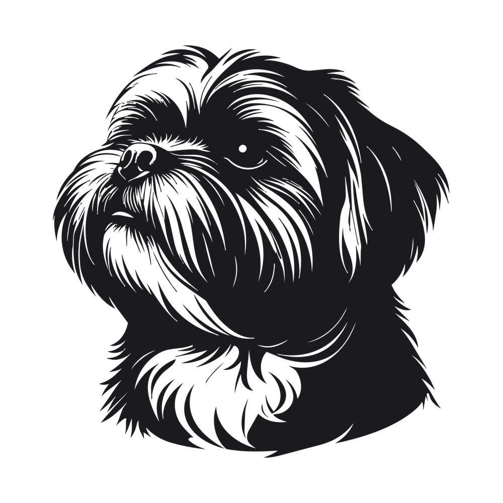 Shih Tzu Silhouette SVG cut file – SVG, PNG, DXF