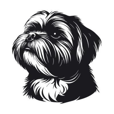 Shih Tzu Silhouette SVG cut file