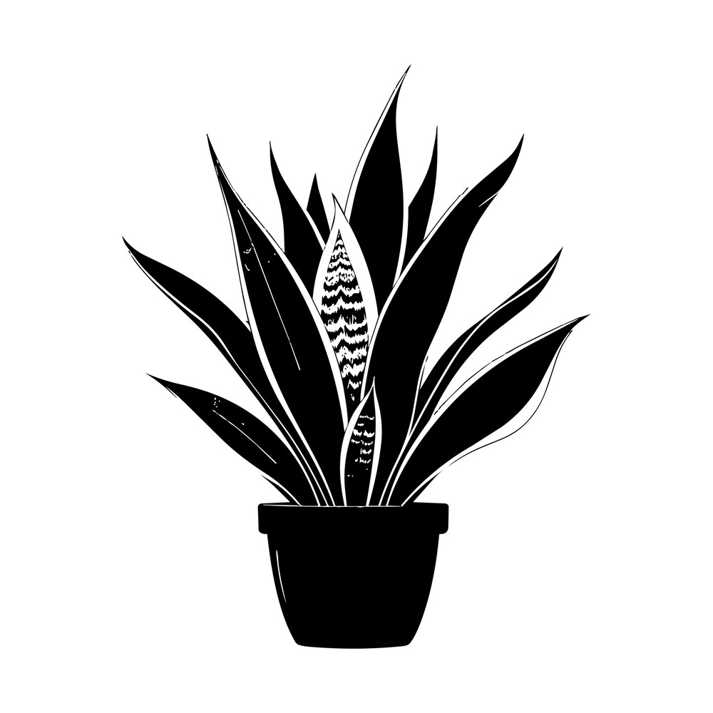 Silhouette of a potted snake plant with tall pointed leaves and wavy striped markings