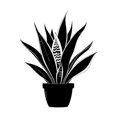 Snake Plant SVG cut file