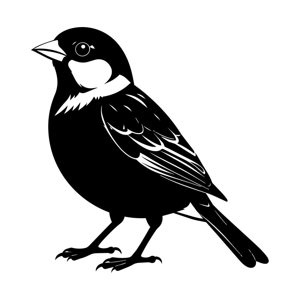 Black sparrow silhouette perched in profile with white cheek patch and fine feather lines on wing