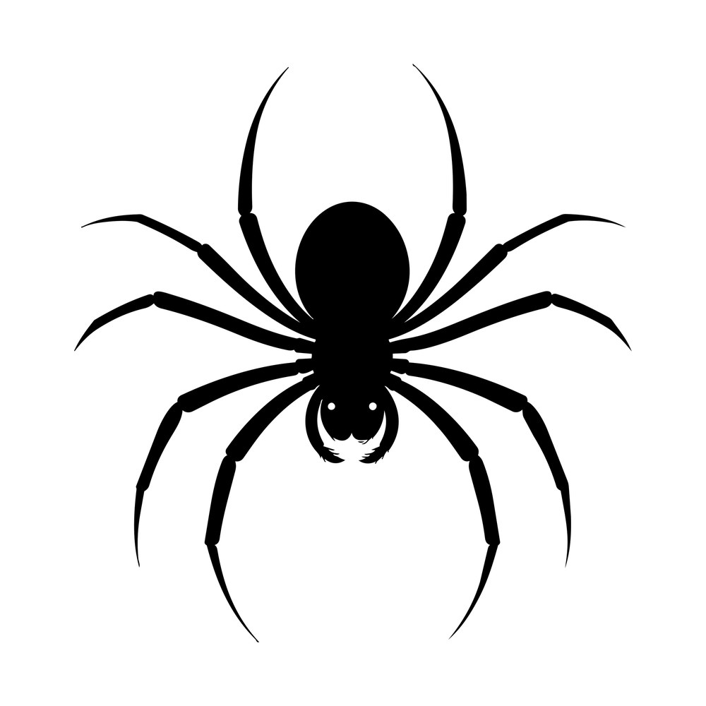 Top-view black spider silhouette with eight long jointed legs, small round eyes and fanged mouth