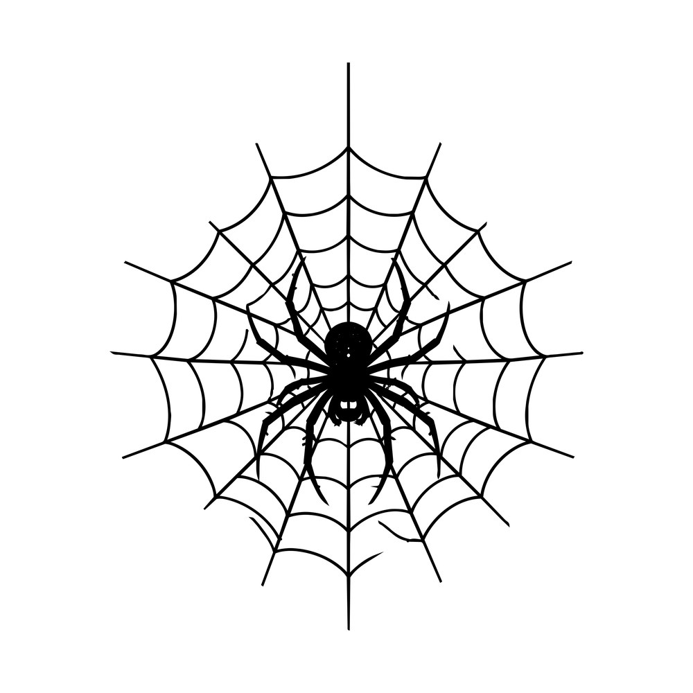 Spider Web SVG cut file – SVG, PNG, DXF