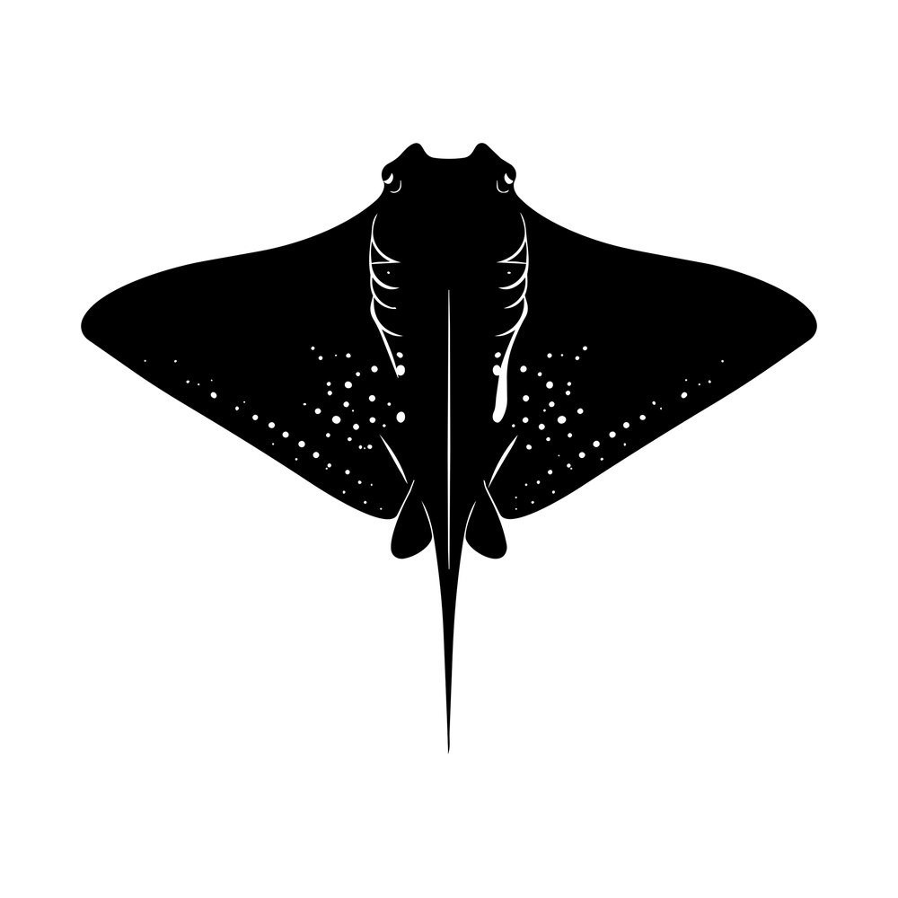 Black stingray silhouette from above with wide wings, pale spots, gill lines and long whip tail