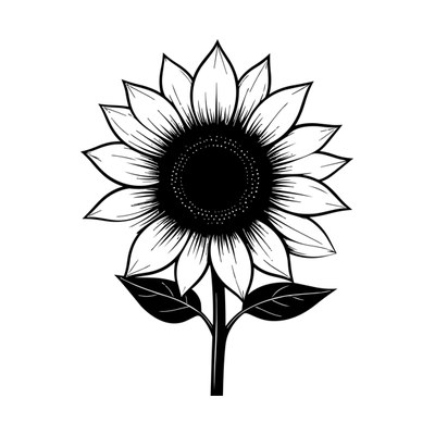 Sunflower Line SVG cut file