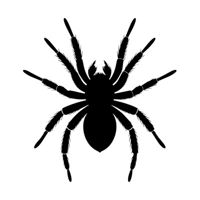 Tarantula Silhouette SVG cut file
