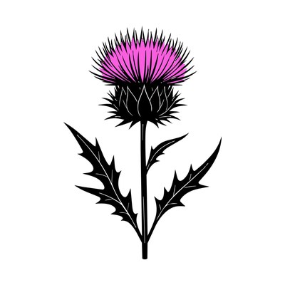 Thistle Line SVG cut file