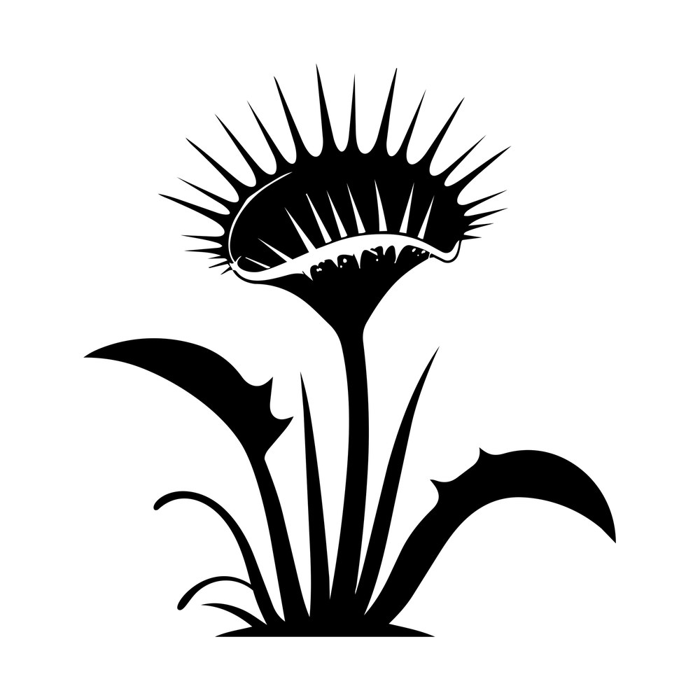 Black venus flytrap silhouette with spiked open trap, toothed leaves and grass tuft