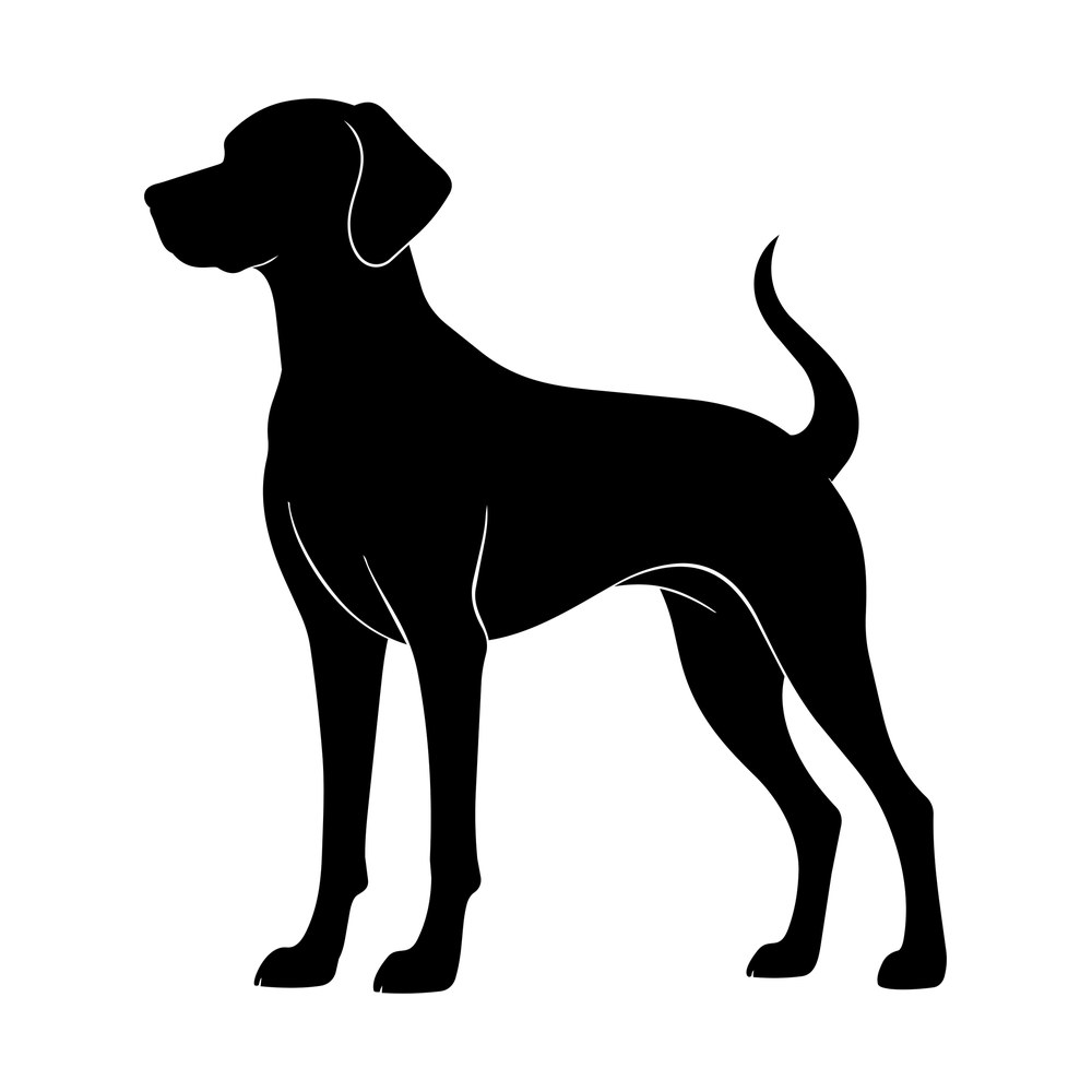 Black silhouette of a Vizsla dog standing in profile with folded ears and a raised tail