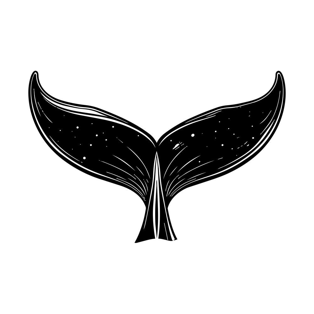 Black hand-drawn whale tail fluke with white shading strokes and small dots on both lobes