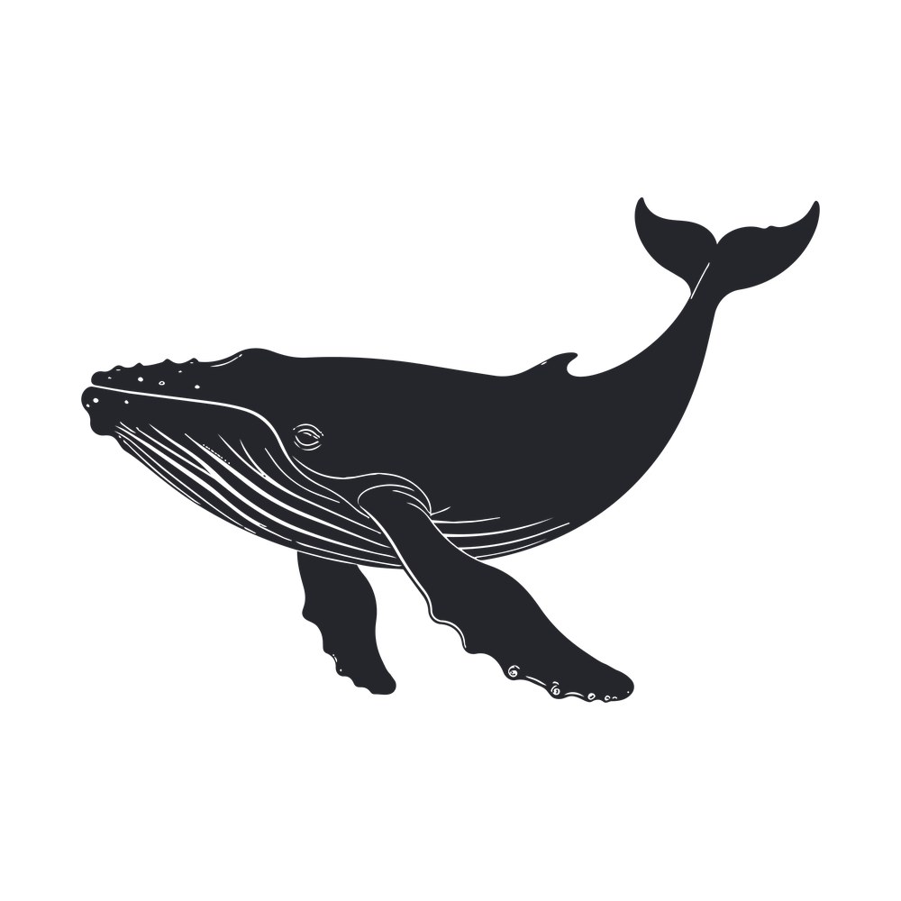 Whale SVG cut file – SVG, PNG, DXF