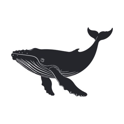 Whale SVG cut file