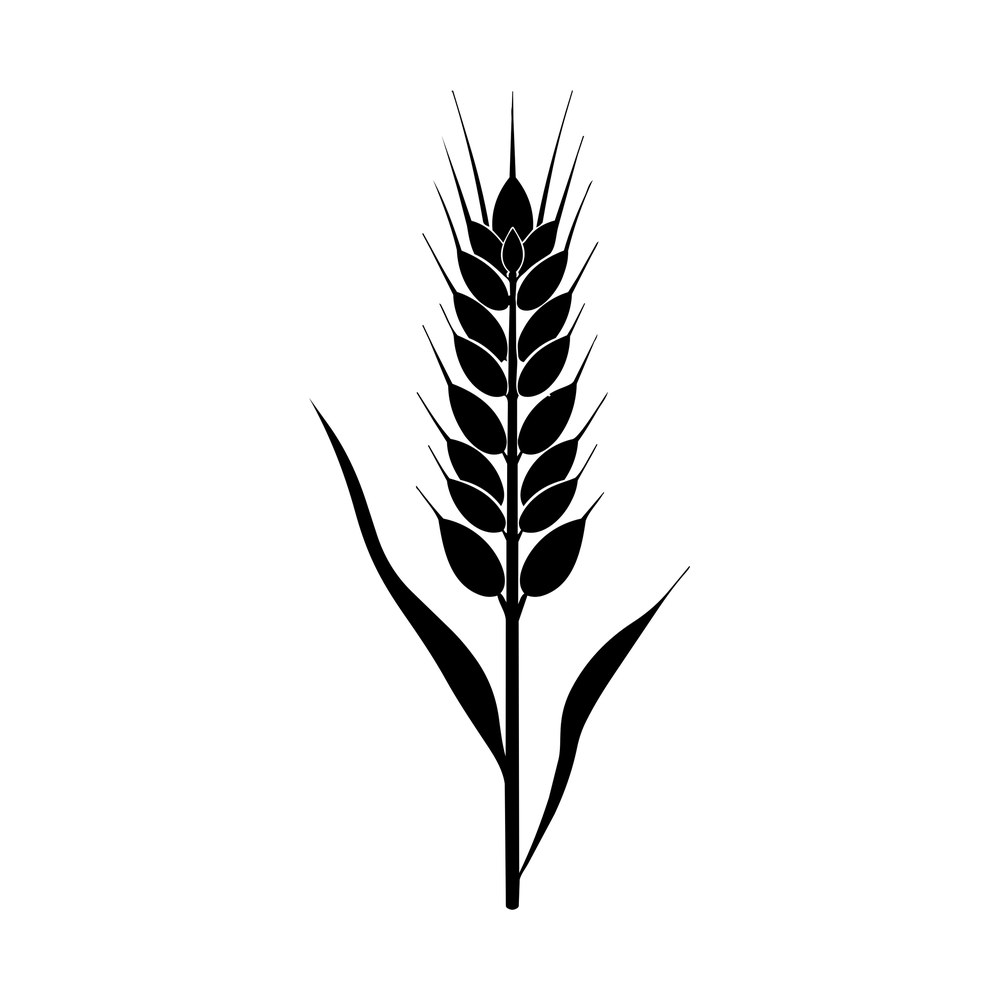 Black silhouette of a wheat stalk with a grain head, long awns and two leaves on the stem