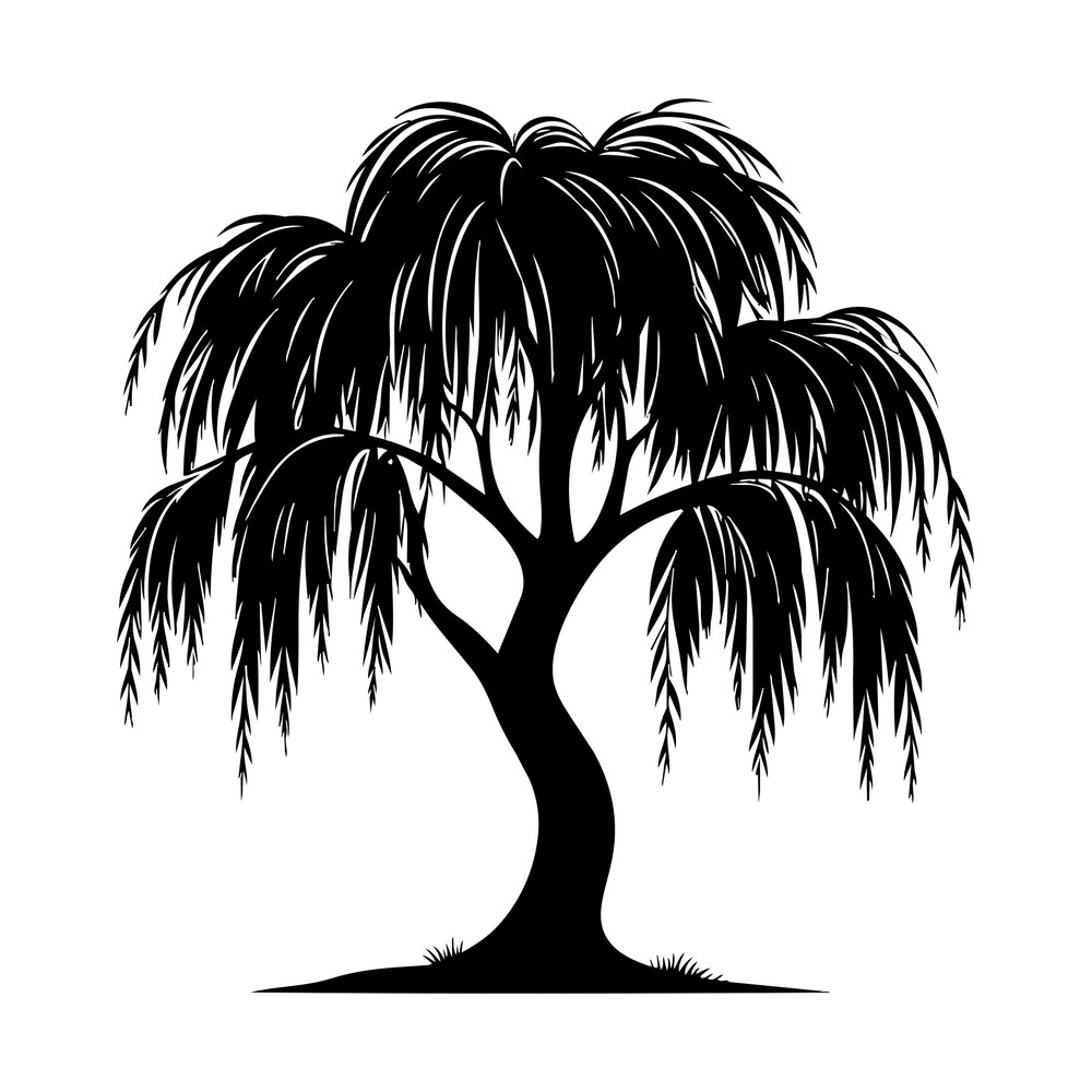 Black weeping willow tree silhouette with long trailing branches and grass at its base