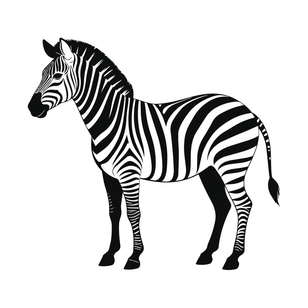 Zebra SVG cut file – SVG, PNG, DXF