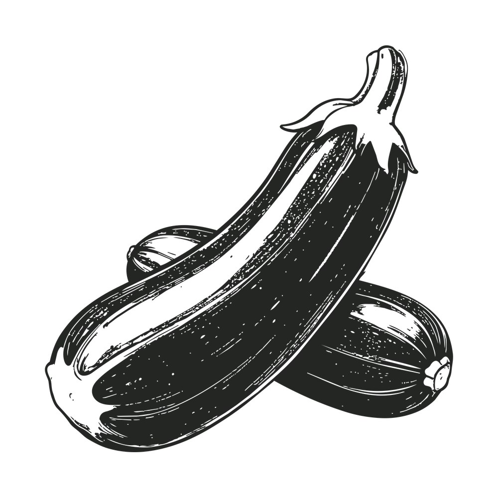 Hand-drawn black ink sketch of two zucchini, one upright with a blossom stem, one lying behind it