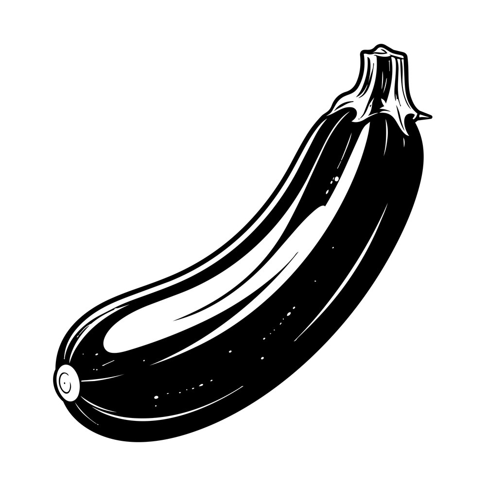 Bold black ink drawing of a single zucchini with white highlights and a ribbed stem