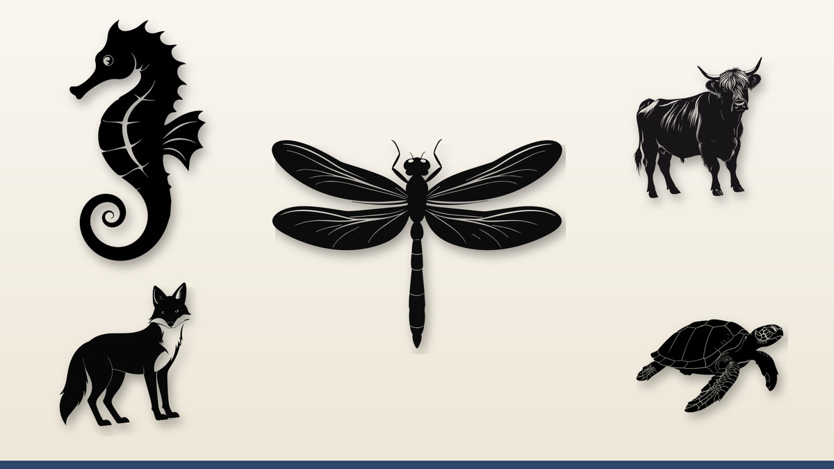 Collage of cut-file animal designs: dragonfly, seahorse, highland cow, fox, sea turtle, dogs, raccoon and more